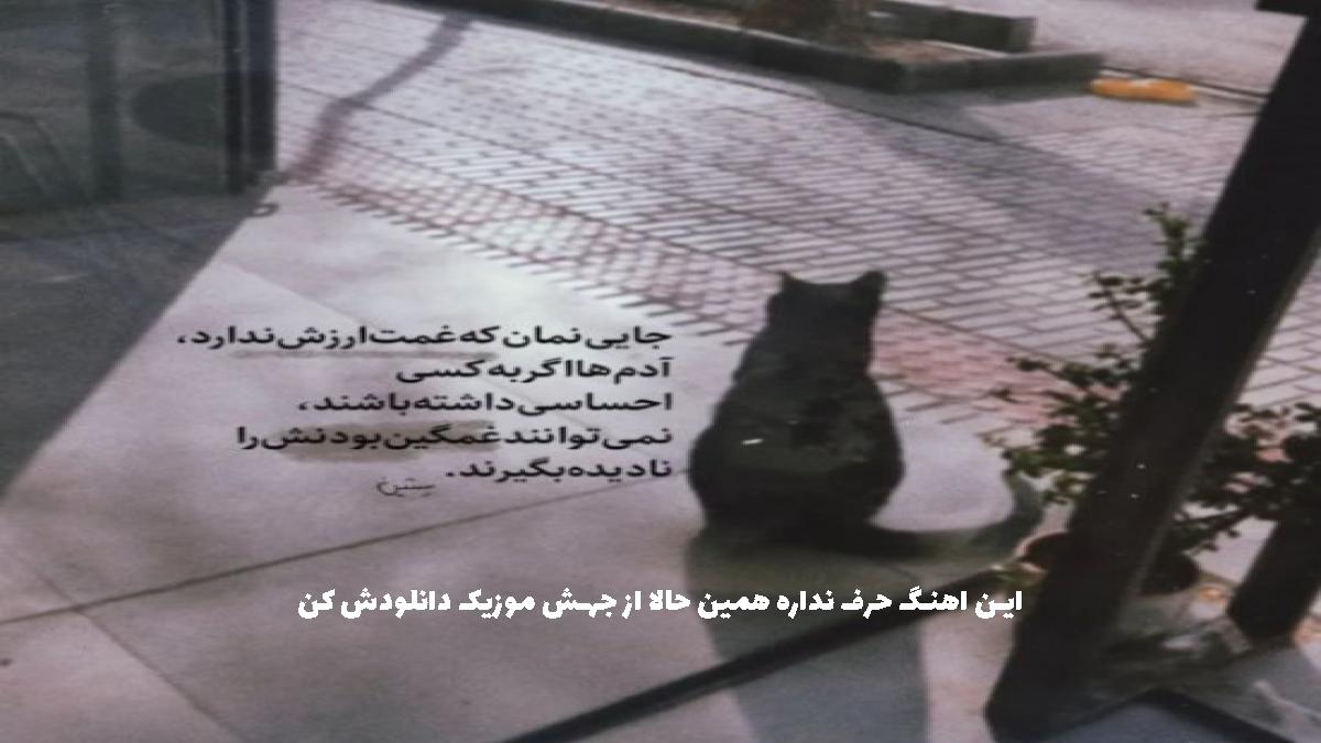 عکس آهنگ میکشم سرک از پیروزی تا ونک کف تهرونم از 